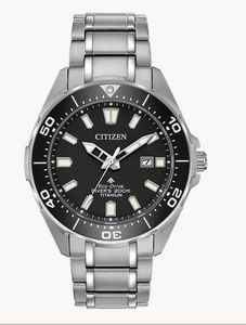 Promaster Diver
