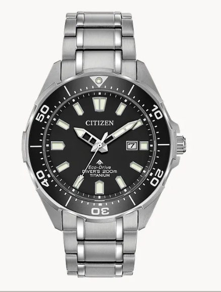 Promaster Diver