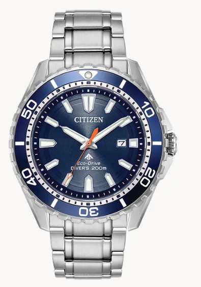 Promaster Diver
