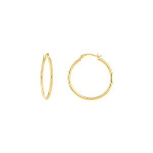 2MM x 3MM Round Polished Hoop